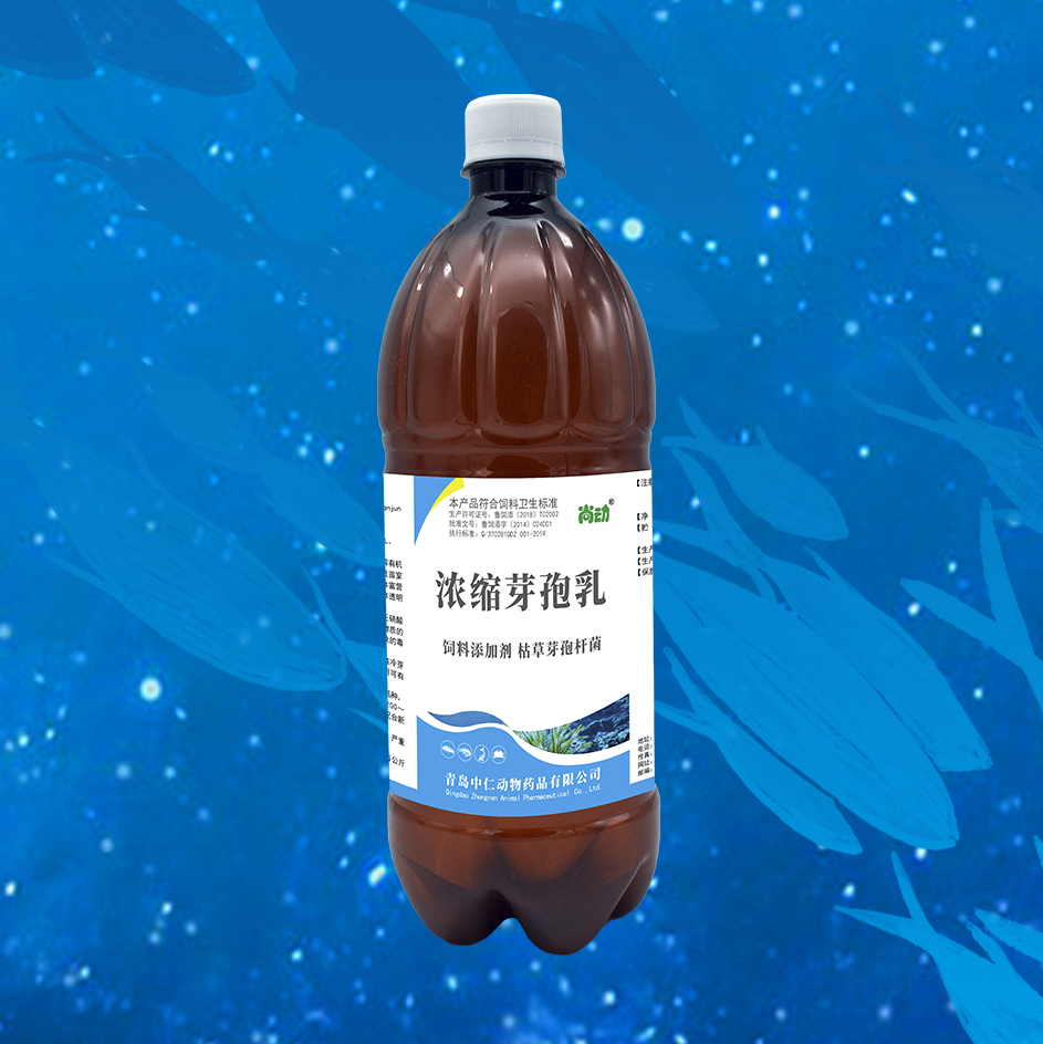 浓缩芽孢乳